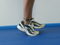 Federnder Lauf